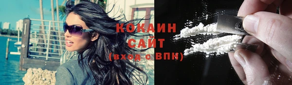 индика Армянск