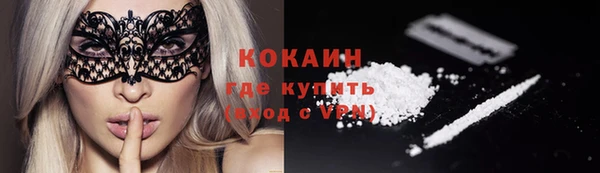 индика Армянск