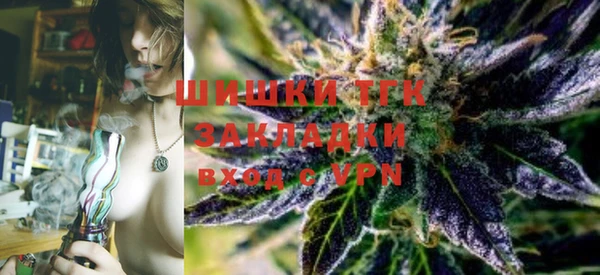 индика Армянск