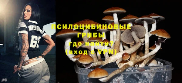 кокс Аркадак