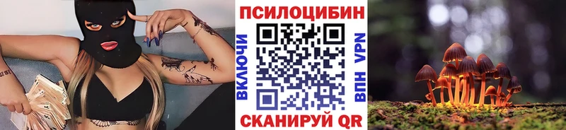 Купить  Сысерть  Псилоцибиновые грибы MAGIC MUSHROOMS 